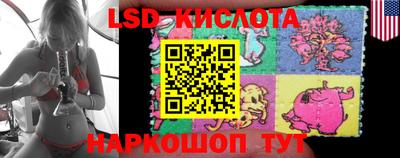 apvp Свободный